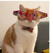 九龙坡的止血草