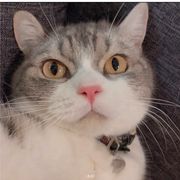 请输入密码······