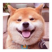 熊猫祥