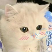 嘻嘻