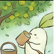 皮皮的游戏日记