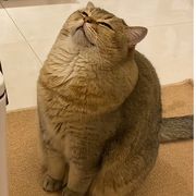 ？！。。。！！？！