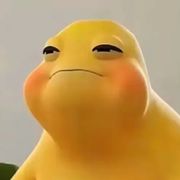 o，o