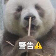 我只警告你一次
