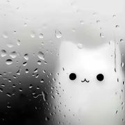 花季烟雨稠