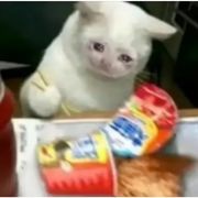 不要打翻我的泡面！