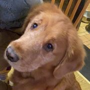 不要空腹吃东西