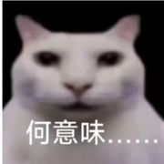 人间Bug