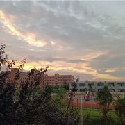 (๑╹ヮ╹๑)ﾉ