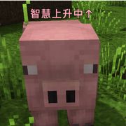 坤坤
