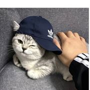 无言