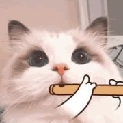13呀