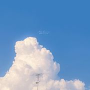奇麗