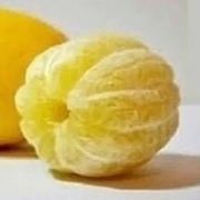 乔木宁