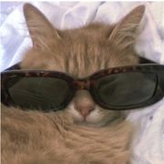 奔