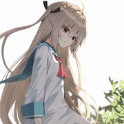 红泪黑海之树