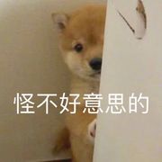 不知道叫什么好