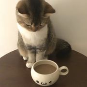 椒盐排骨