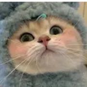 跟我客气酷狗吗