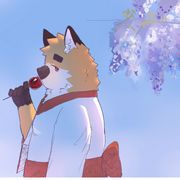 看我攻略要看我评论