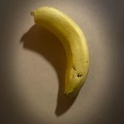 白鸽