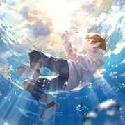 言曦辰花落