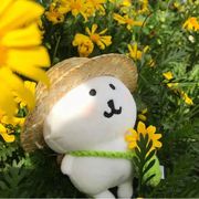 静静