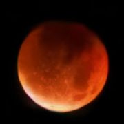 昔人已乘黄鹤去