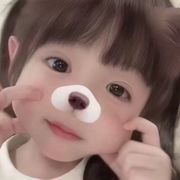 KT猫.