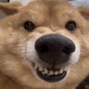 锤你一下