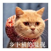 怕怕