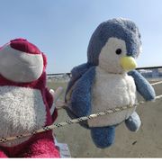 有色有角三倍速