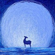 明明就是不知道