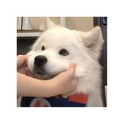 幼儿园抢饭第一丶