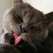 终似