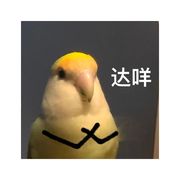 阴了天