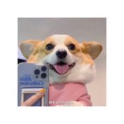 yy