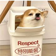 哟哟