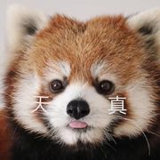 额呵呵呵呵局