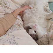 手机用户82933303