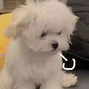诡计多端的0.5