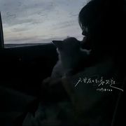 挚爱作痛