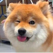 顶上去造福社会