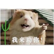 水