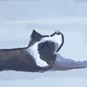 孤立无援的是我