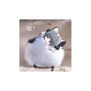 仑可
