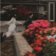 🐟鱼团长-平安喜乐