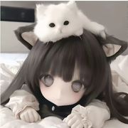 不拘一格的星星