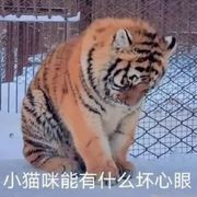张学友