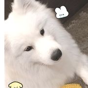 雨